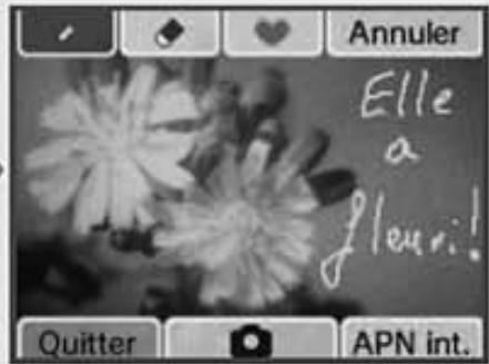 NINTENDO DSI - Utiliser une pipette - 3