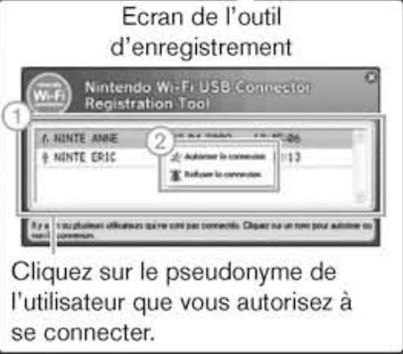 NINTENDO DSI XL - Sur l'ordinateur - 3