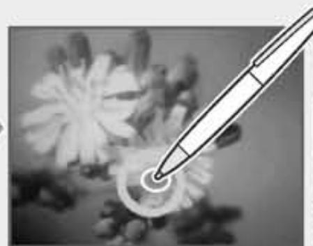 NINTENDO DSI XL - Filtre graffiti - 7