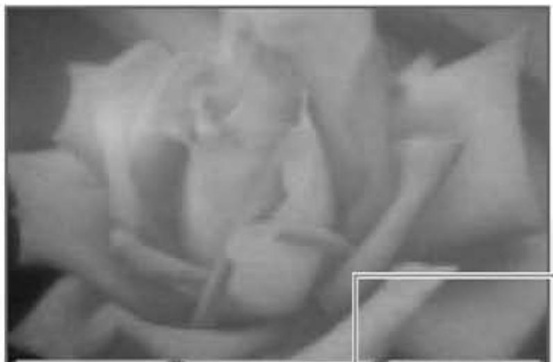 NINTENDO DSI XL - Filtre normal - 1