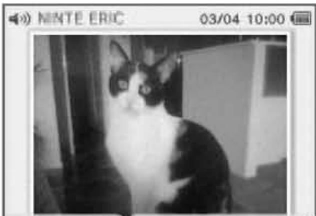 NINTENDO DSI XL - Autres - 6