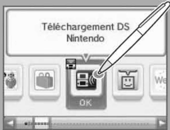 NINTENDO DSI XL - Logiciels Nintendo DSi et Nintendo Points Cards - 1