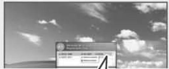 NINTENDO DSI XL - Sur l'ordinateur - 2