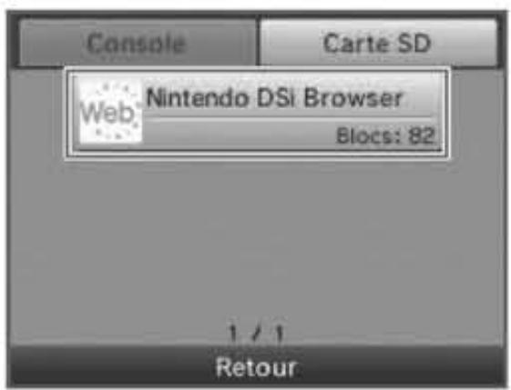 NINTENDO DSI XL - Copier/Effacer - 2