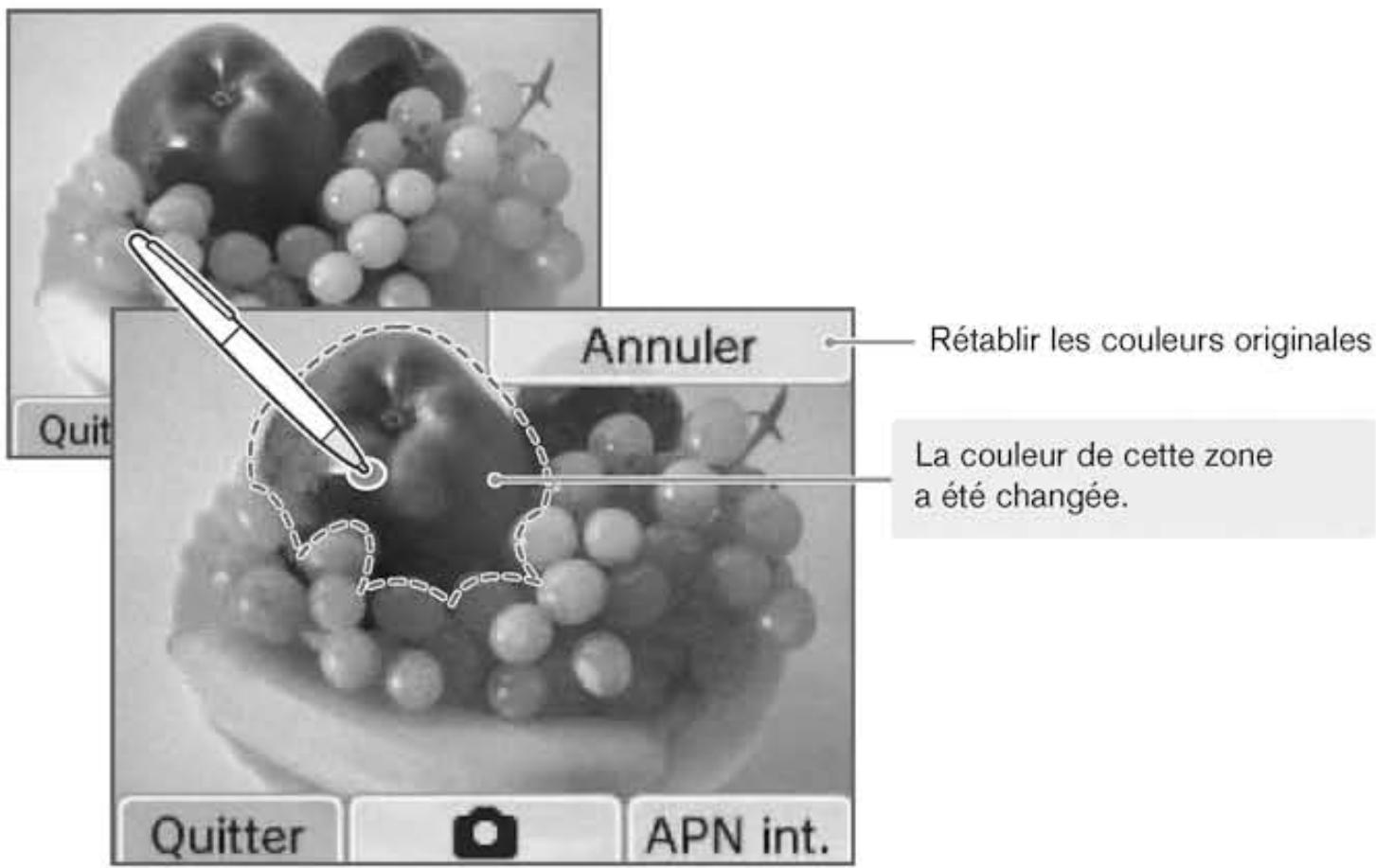 NINTENDO DSI XL - Filtre cyclochromique - 1