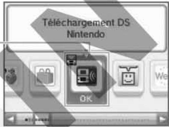 NINTENDO DSI XL - Sur la console cliente - 2