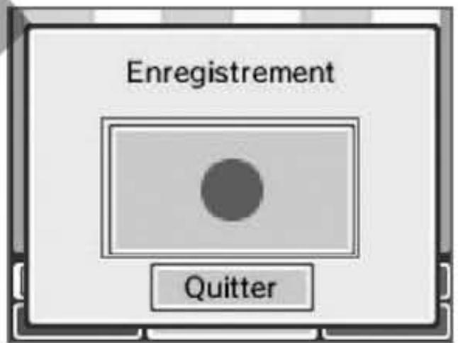 NINTENDO DSI XL - Enregistrer - 4