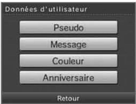 NINTENDO DSI XL - Données d'utilisateur - 1