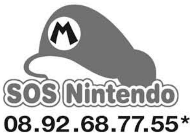 NINTENDO DSI XL - Logiciels opérationnels Nintendo DSi - 1