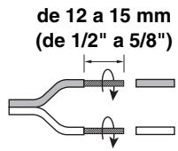 ONKYO PA-MC 5501 & PA-MC5501 - Precauciones para la connexion de los altavoces - 3