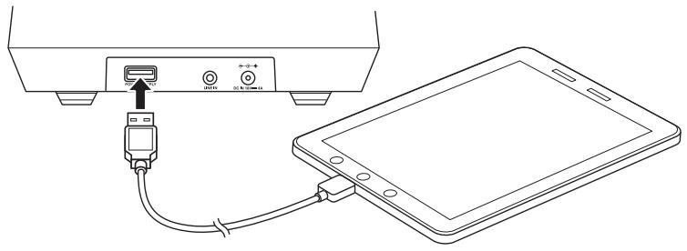 ONKYO RBX-500 - USB Power terminal - 1