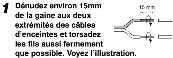 ONKYO TX-8020,  TX 8020 - Connexion des câbles d'enceintes - 1