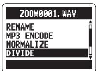ZOOM H2N - Fichiers stéreo uniquement - 3