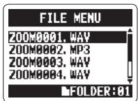 ZOOM H2N - Fichiers stéreo uniquement - 2
