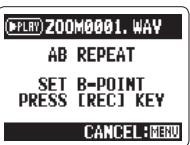 ZOOM H2N - NOTE - 2