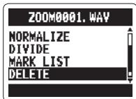 ZOOM H2N - Suppression de fichiers - 3