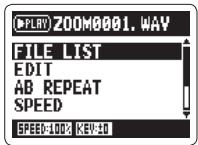 ZOOM H2N - NOTE - 1