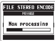 ZOOM H2N - EXECUTE - 3
