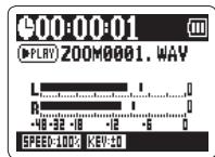 ZOOM H2N - CONSEIL - 1