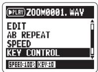 ZOOM H2N - NOTE - 1