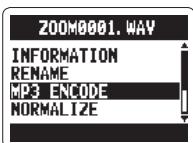 ZOOM H2N - Fichiers stéreo uniquement - 3