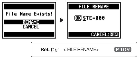 ZOOM H4NSP - "File NameExists!" - 1
