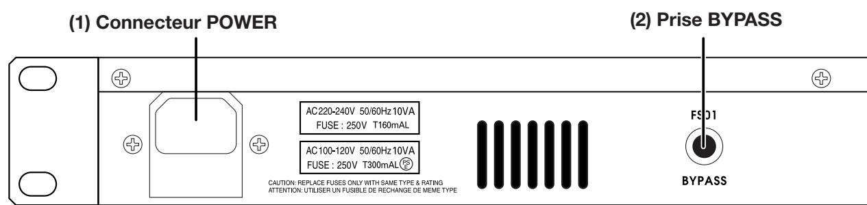 ZOOM RFX1100 - Face arrière - 1