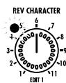 ZOOM RFX2000 - REV CHARACTER - 2