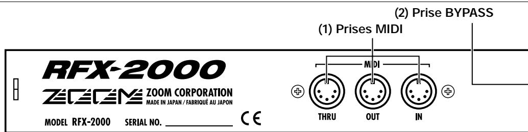 ZOOM RFX2000 - Face arrière - 1