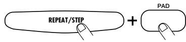 ZOOM RT123 - Tapez sur les pads tout en maintainant le bouton [REPEAT/STEP] enforcé. - 1