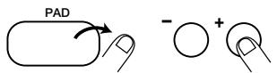 ZOOM RT123 - Halten Sie das Pad gedrückt und verwenden Sie die [VALUE +/-]-Taster, um die dem Pad zugewiesene Tonhöhe zuändern. - 3