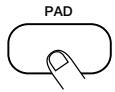 ZOOM RT123 - Selon le paramètre voulu, appuyez sur un des pads 1~13 ou sur le bouton [PATTERN]. - 1