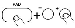 ZOOM RT123 - Halten Sie das Pad gedrückt und verwenden Sie die [VALUE +/-]-Taster, um die dem Pad zugewiesene Tonhöhe zuändern. - 1
