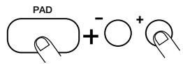 ZOOM RT123 - Um einem Pad ein anderes Pattern zuzuordnen, müssen Sie das Pad gedrückten und mit [VALUE +/-] eine andere Nummer wahlen. - 1