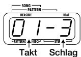 ZOOM RT123 - Halten Sie den [REC]-Taster gedrückt und drücken Sie den [PLAY]-Taster. - 2