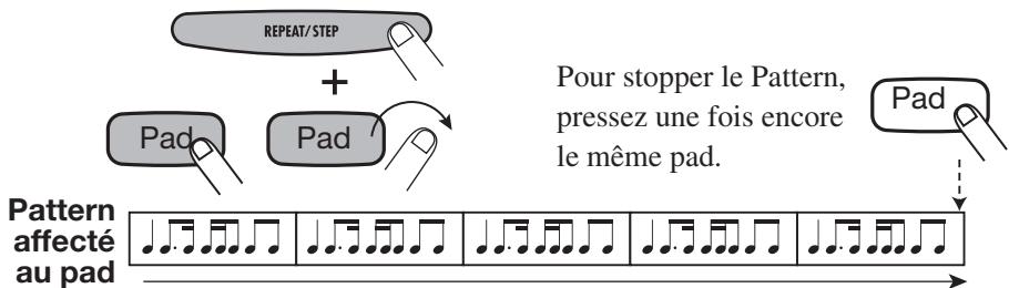 ZOOM RT223 - STEP] pendant que vous pressez le pad. - 1