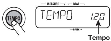 ZOOM RT223 - Pressez la touche [TEMPO]. - 1