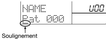 ZOOM RT323 - Changer le nom du motif - 3