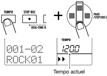 ZOOM RT323 - Maintenez la touche [TEMPO] enforcée et actionnez une des touches [▲]/[▼]. - 1