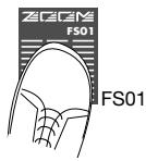 ZOOM RT323 - Enoncez le FS01. - 1