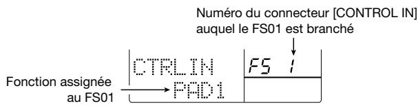 ZOOM RT323 - Enoncez le FS01. - 2