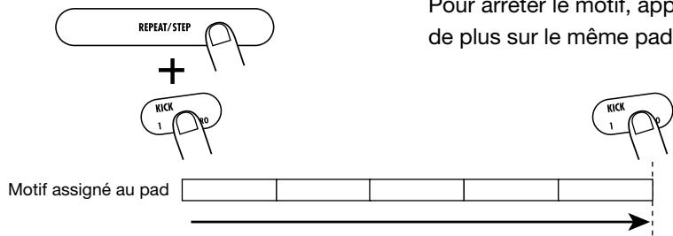 ZOOM RT323 - Maintenez la touche [REPEAT] enforcée et appuyez sur le pad. - 2