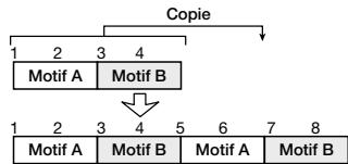 ZOOM RT323 - Copier des mesures spécifiques - 2