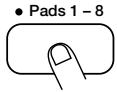 ZOOM ST224 - Drücken Sie das Pad, dessen Parameter Sie einstehen wollen. - 1