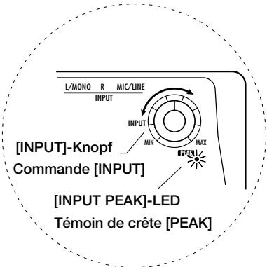 ZOOM ST224 - Connexion à une source sonore (1) (Lecteur CD) - 2