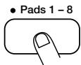 ZOOM ST224 - Um Resampling eines Songs durchzuführen, drücken Sie die [SONG PLAY/STOP]-Taste. Um Resampling von Pad-Play durchzuführen, tippen Sie eines der Pads 1 - 8 an. - 2