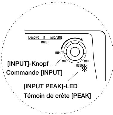 ZOOM ST224 - Connexion à une source sonore (2) (Microphone) - 2