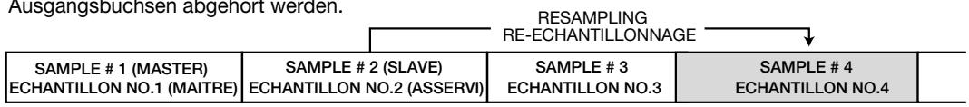 ZOOM ST224 - Deutsch - 1