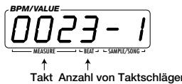 ZOOM ST224 - Deutsch - 1