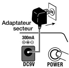 ZOOM ST224 - Connexion à une source sonore (2) (Microphone) - 3